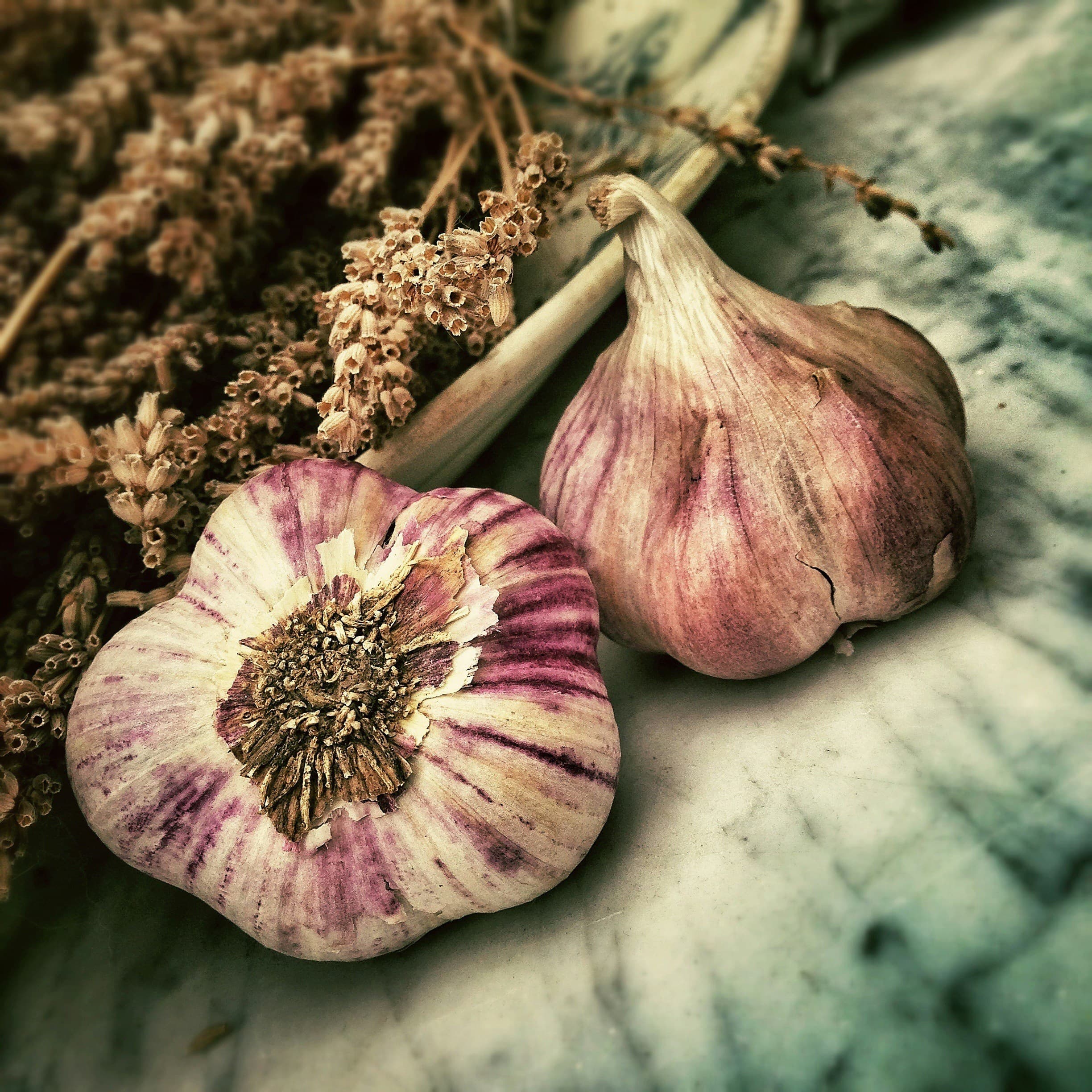 Preparing the Seeds